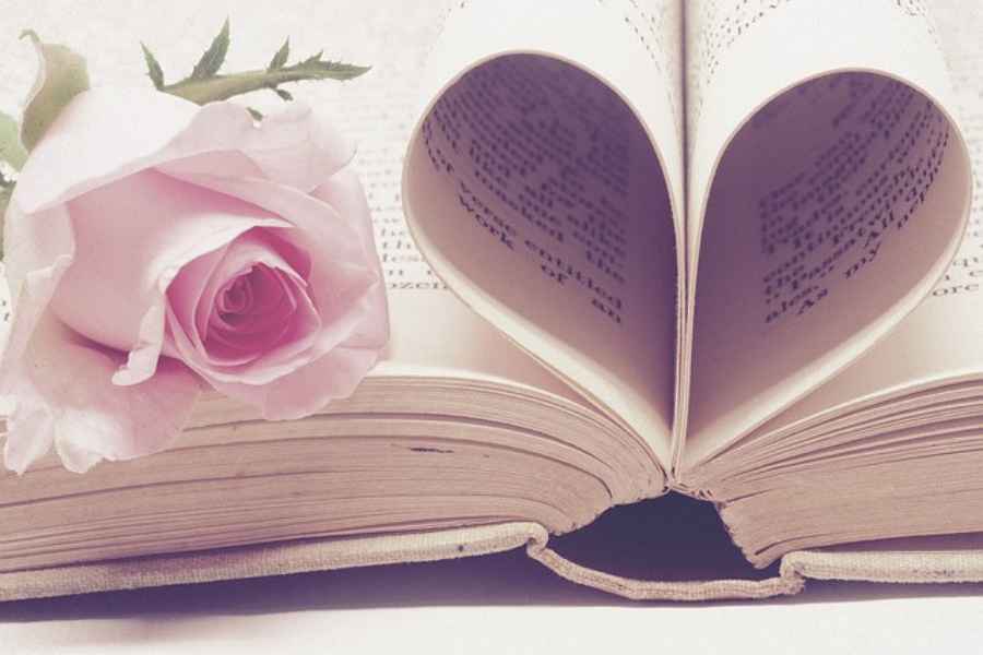open book with pages bent into heart shape next to pink rose